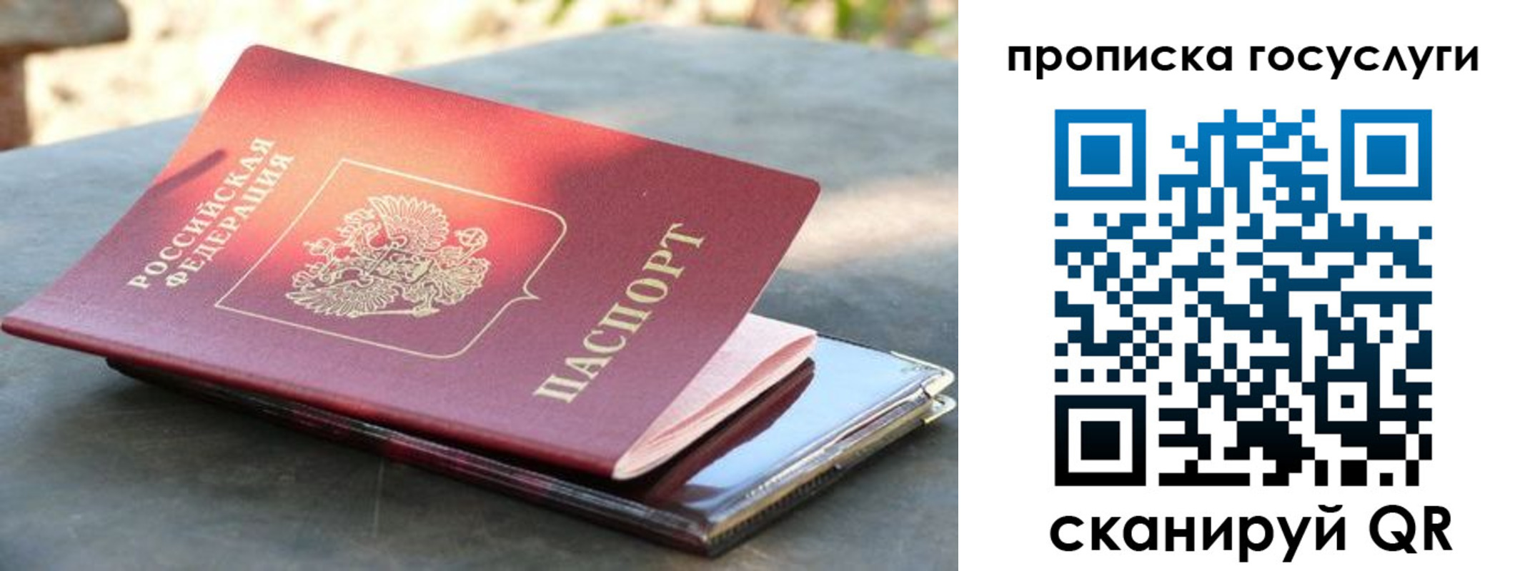 миграционный учет в Светлогорске